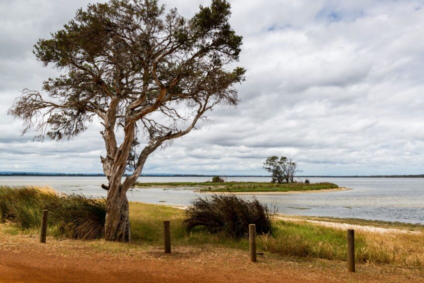 Namibia’s Natural Wonders: From the Skeleton Coast to Sossusvlei